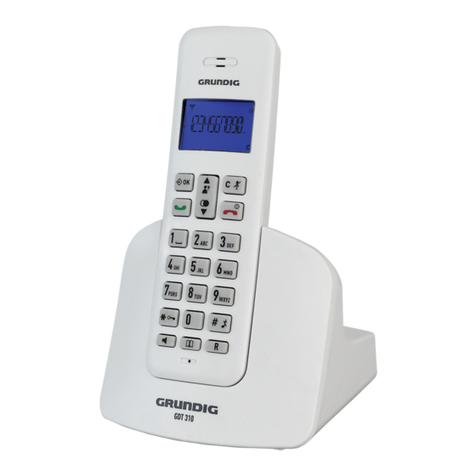 Grundig GDT 310 manual