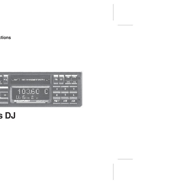 Blaupunkt MEMPHIS DJ User manual