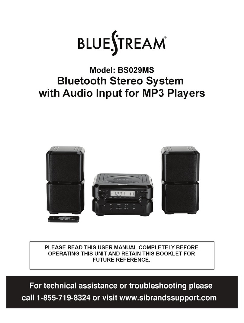 Bluestream BS029MS User manual