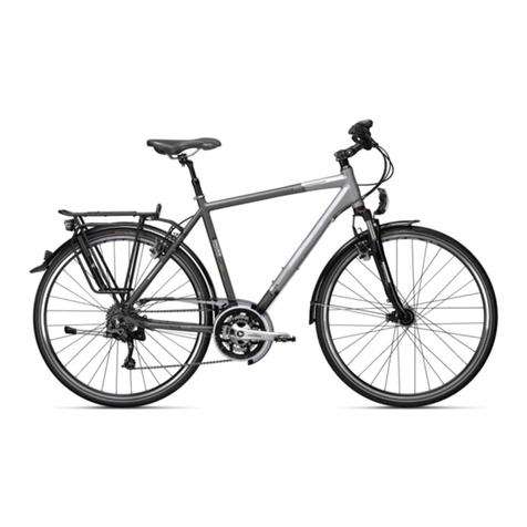 Raleigh Pedelec Groove 2.0 user manual