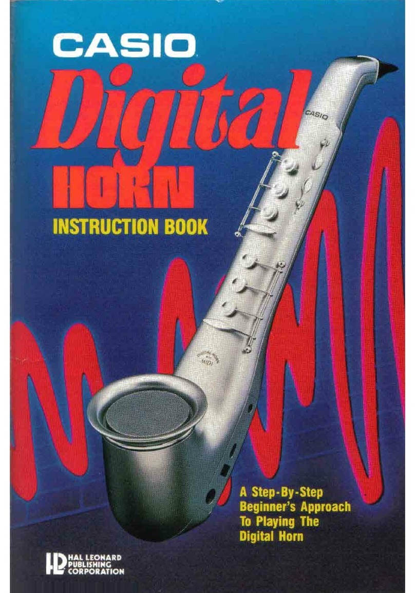 Casio DH-100 Instruction book