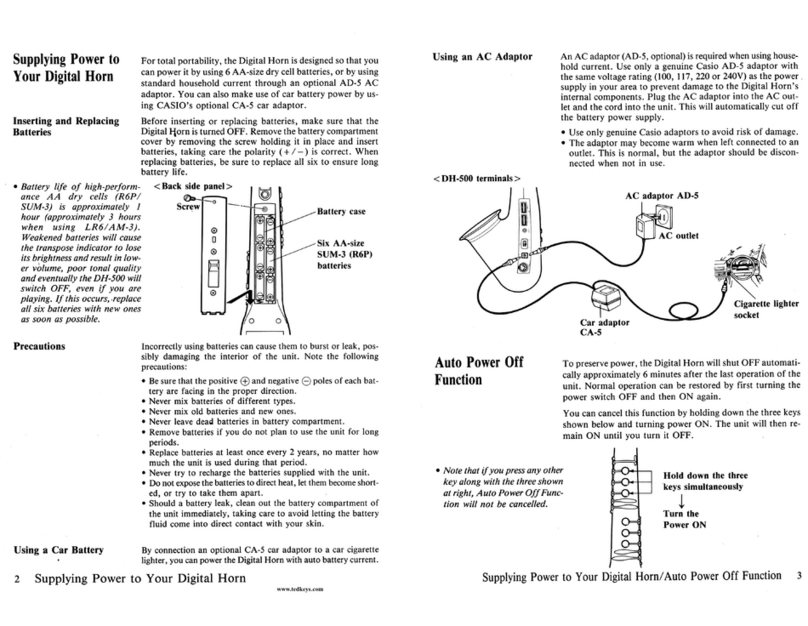 Casio DH500 user manual