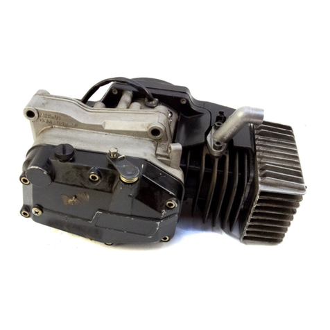 Minarelli V1 User manual