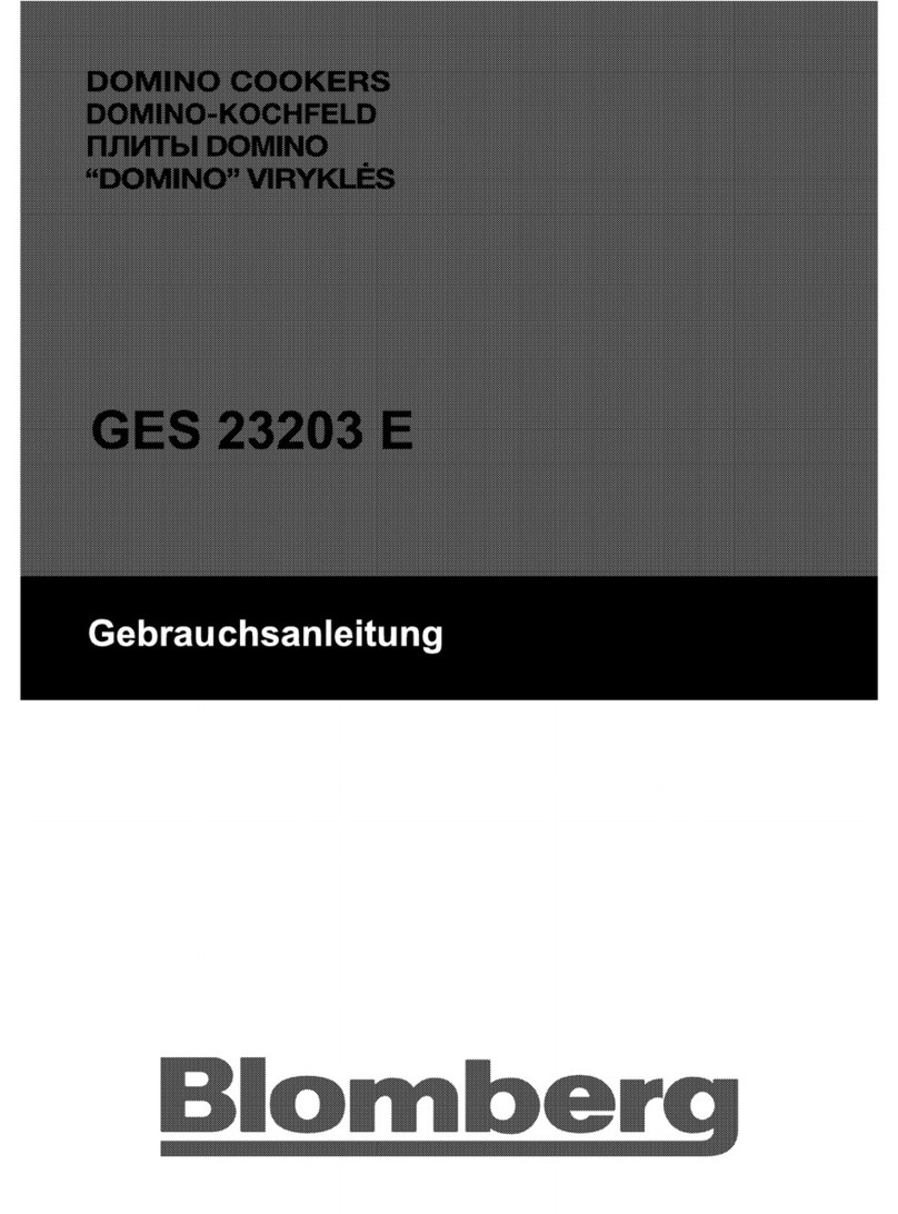 Blomberg GES 23203 E manual
