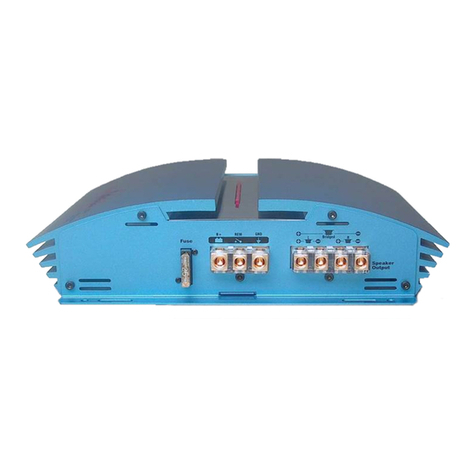Profile California Mosfet 100SX owner's manual