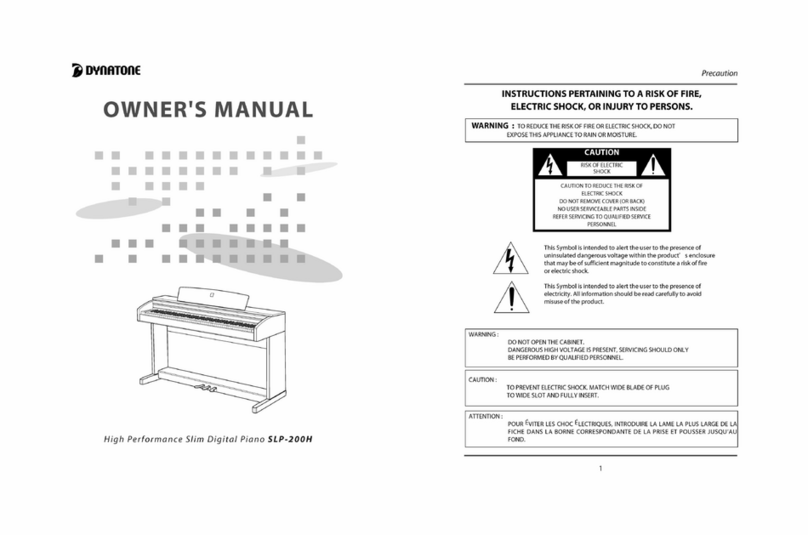 Dynatone SLP-200H owner's manual