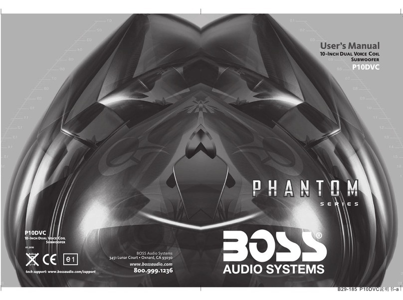 BOSSCO P10DVC user manual