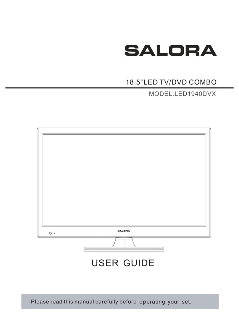 Salora LED1940DVX User manual