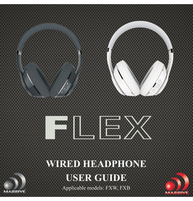 Massive Audio FXW user guide
