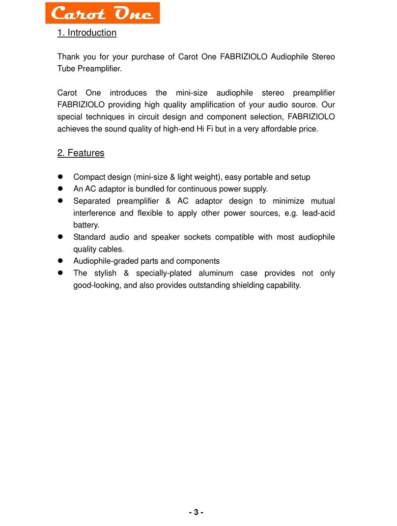 Carot One FABRIZIOLO User manual