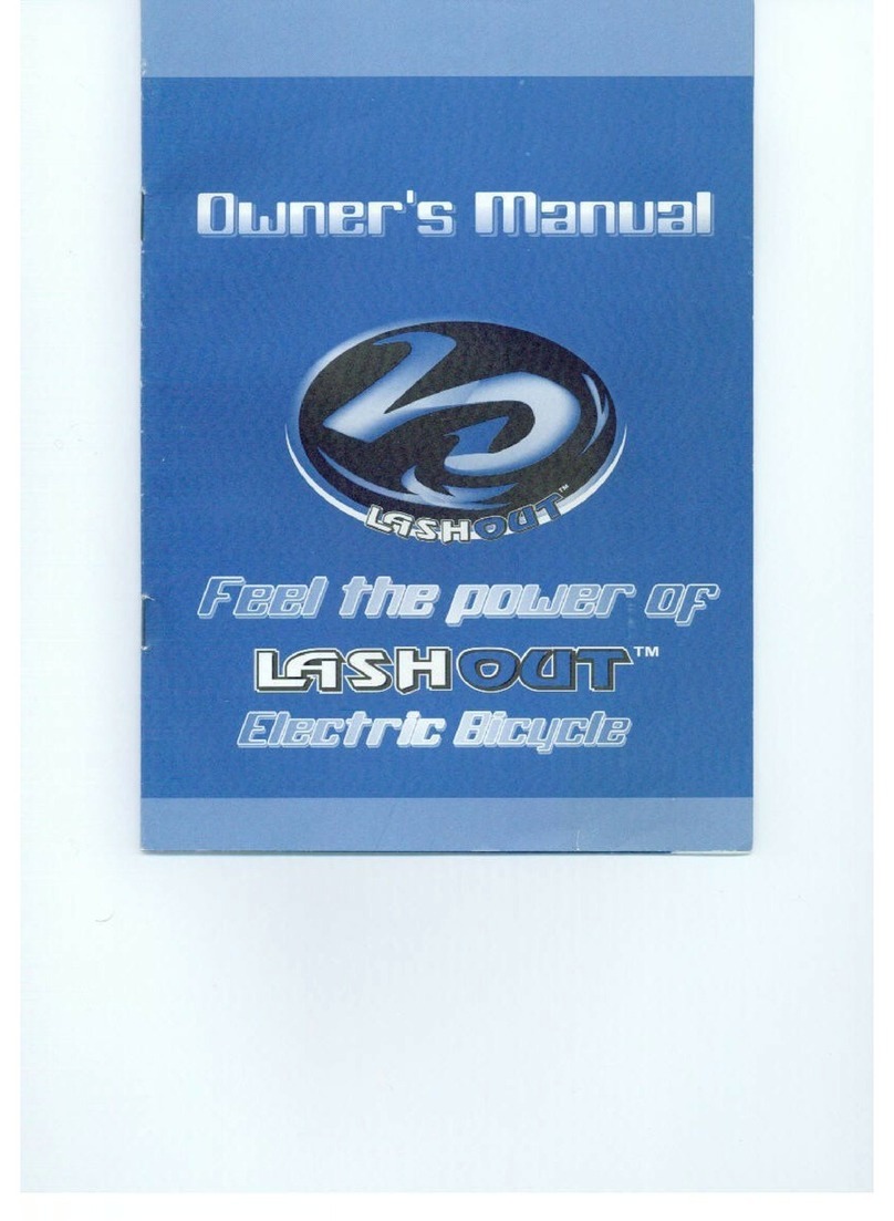 Electrik Motion lashout User manual