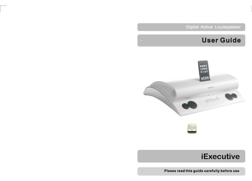 Amethyst A9 iExecutive User manual