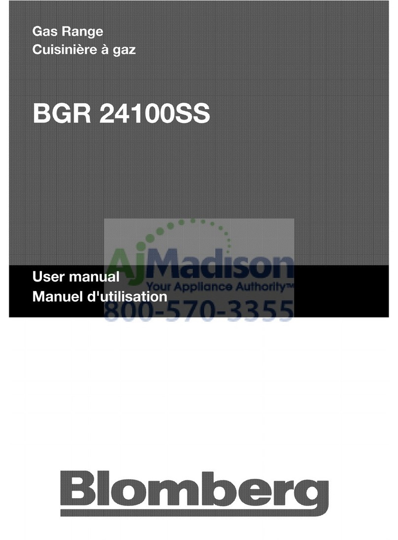 Blomberg BGR 24100SS user manual