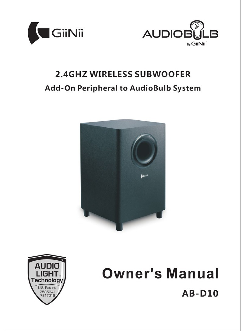GiiNii AB-D10 owner's manual