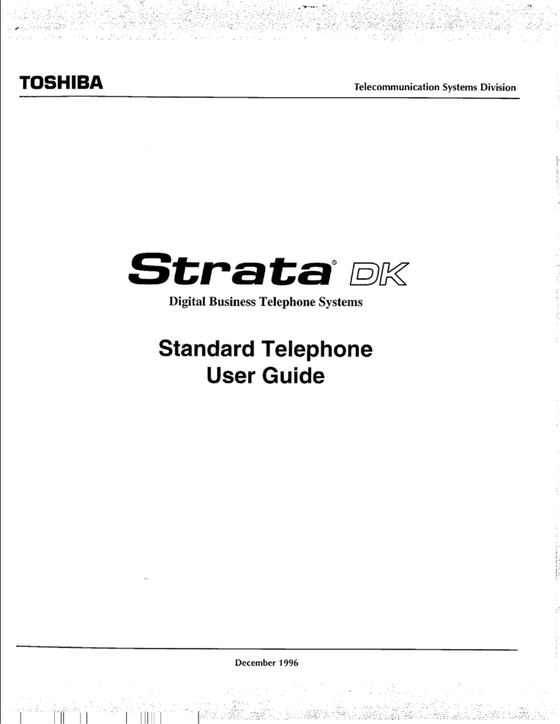 Strata DK User manual