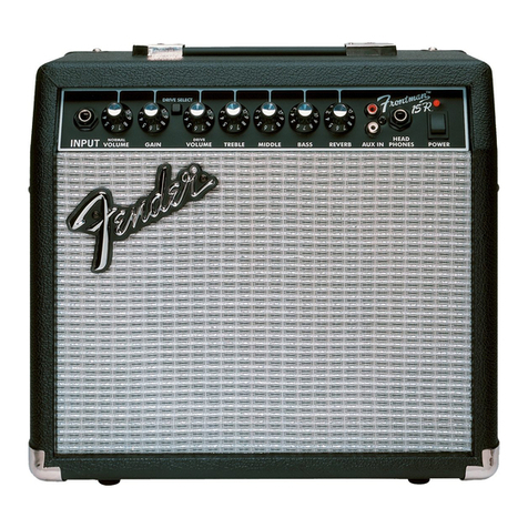 Epiphone Electar 15R User manual