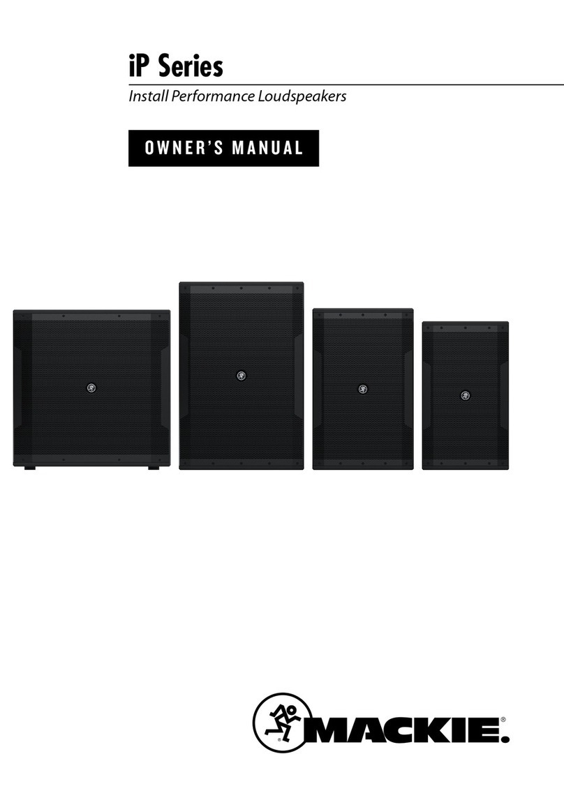 Mackie iP-10 User manual