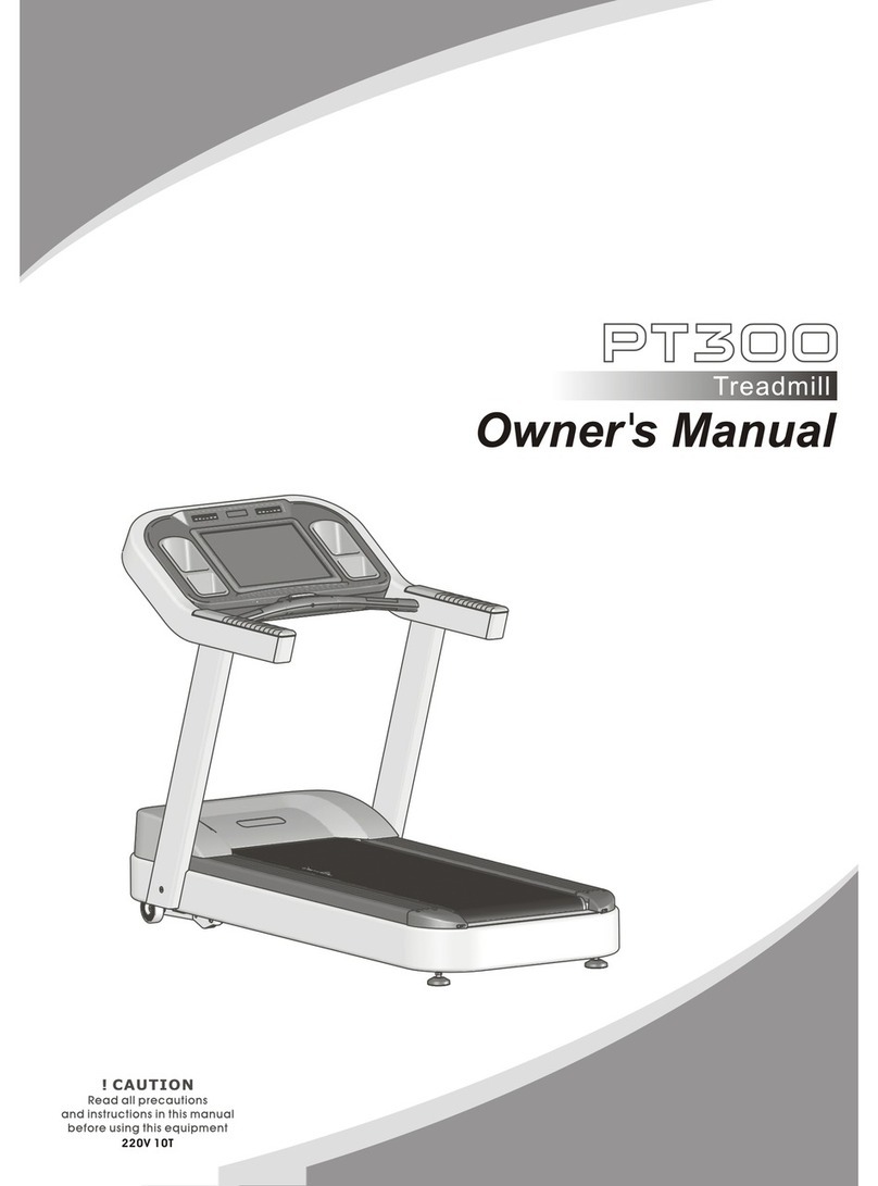 Impulse PT300 User manual