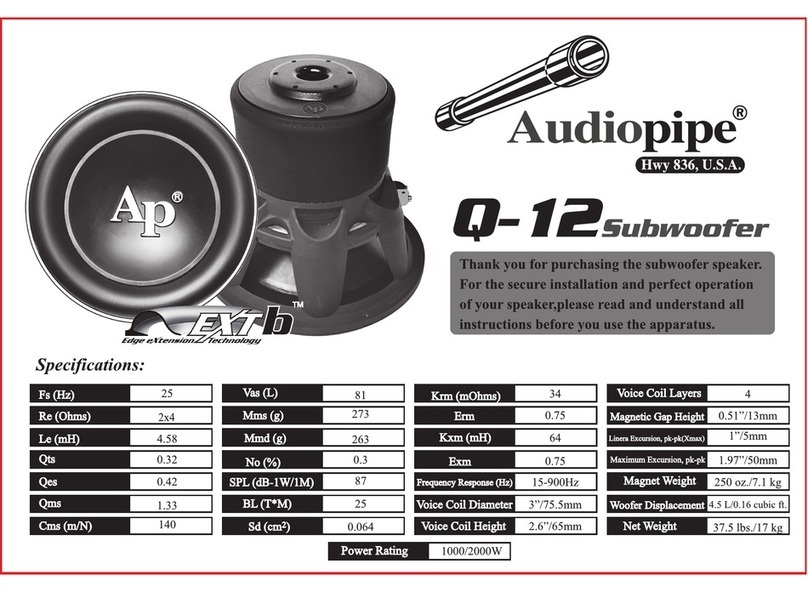 Audiopipe Q-12 User manual