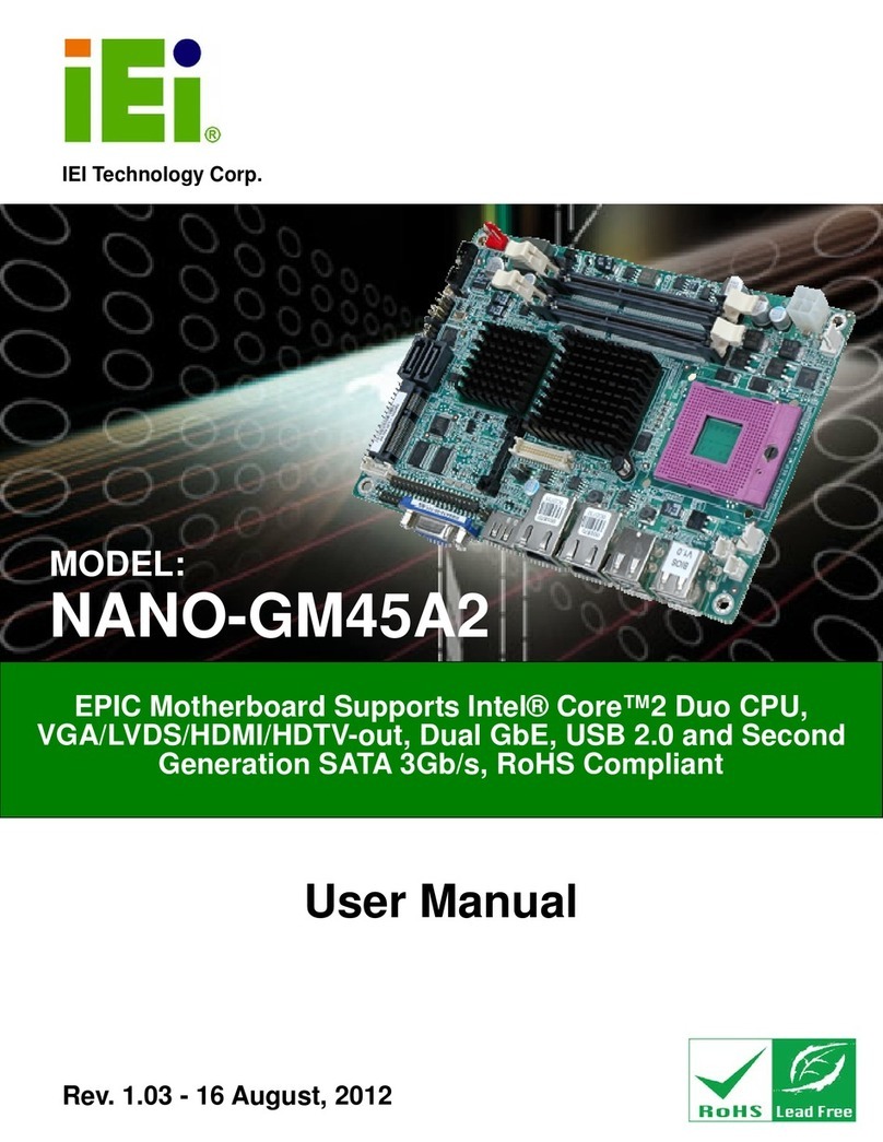 IEI Technology NANO-GM45A2 User manual