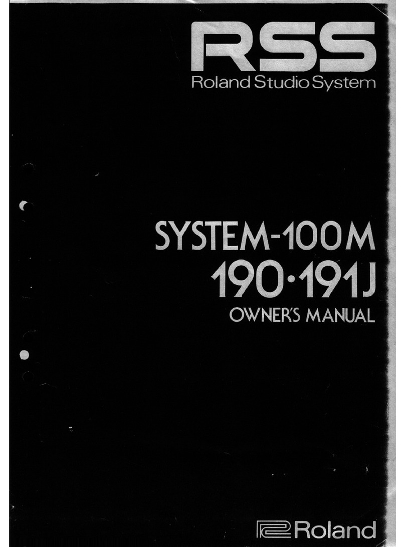 Roland System-100M 190 User manual