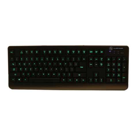 IOGear Ikon Q1332 quick start guide