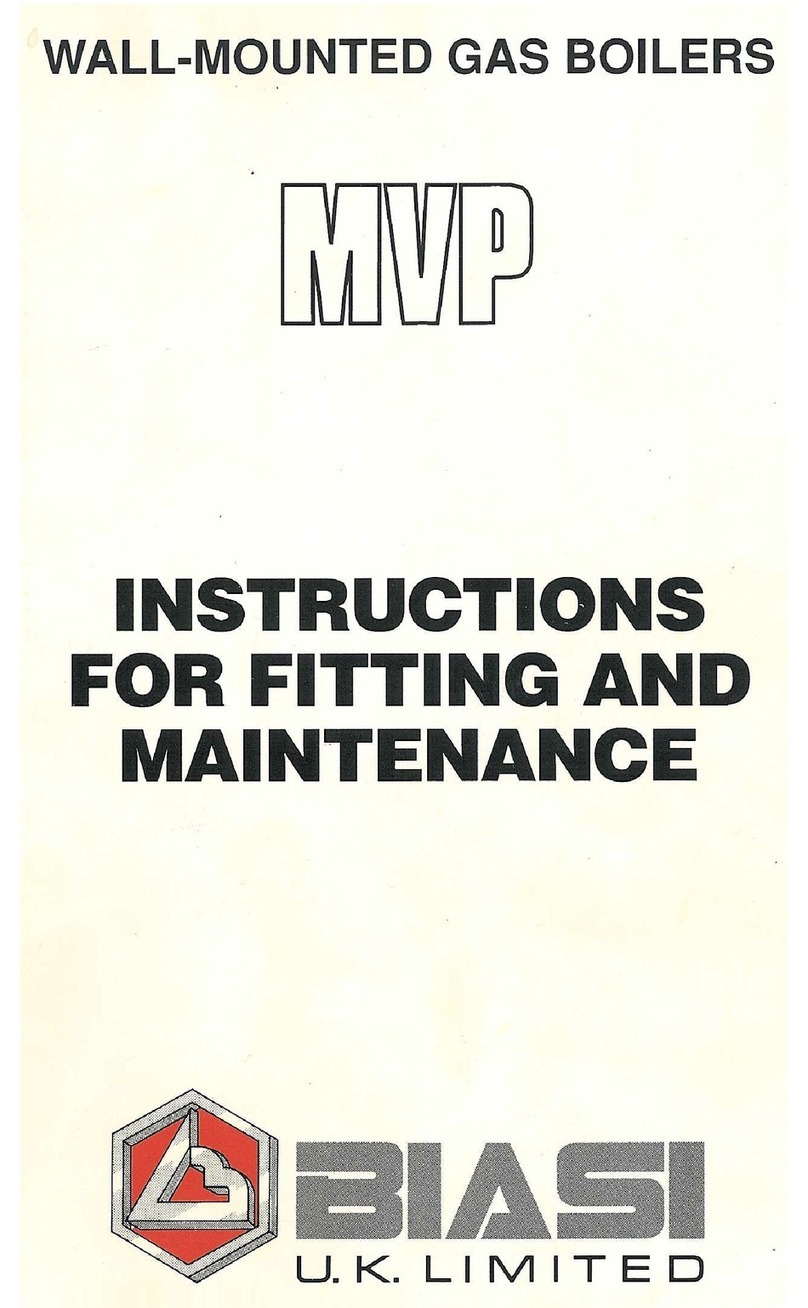Biasi MVP User manual