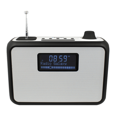 Blaupunkt PP15DAB User manual