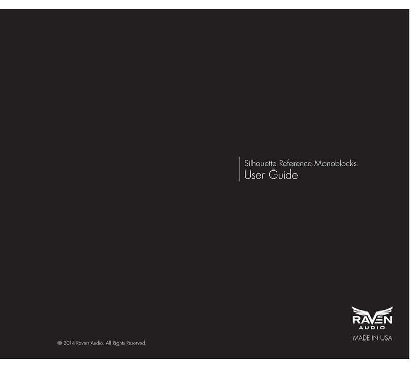 Raven Audio Silhouette Reference Monoblock user guide