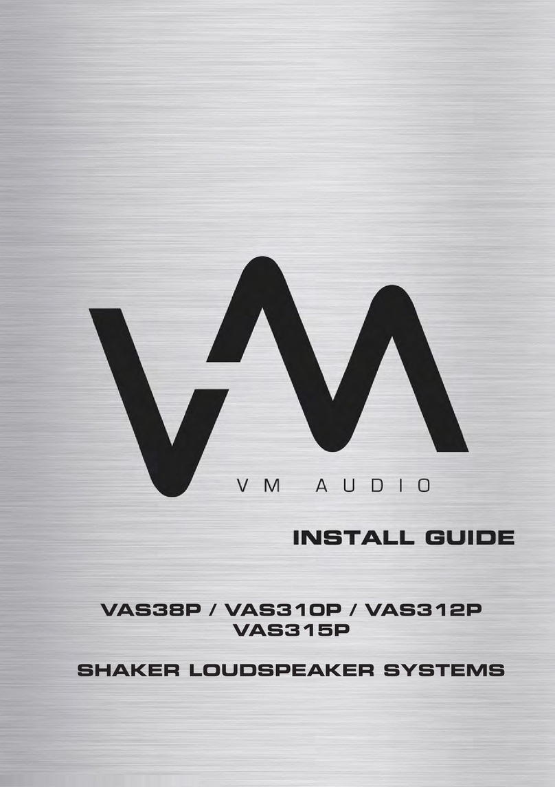 VM Audio VAS38P install guide