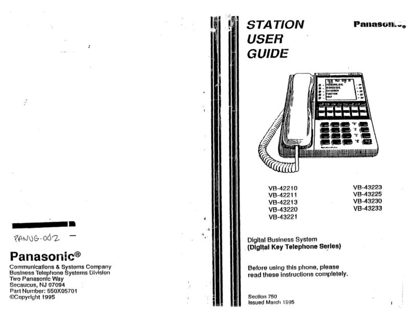 Panasonic VoiceSonic VB-42210 User manual
