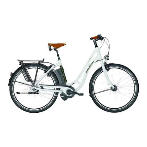 Raleigh Pedelec Groove* User manual