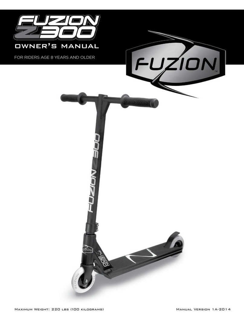 Fuzion Z300 owner's manual