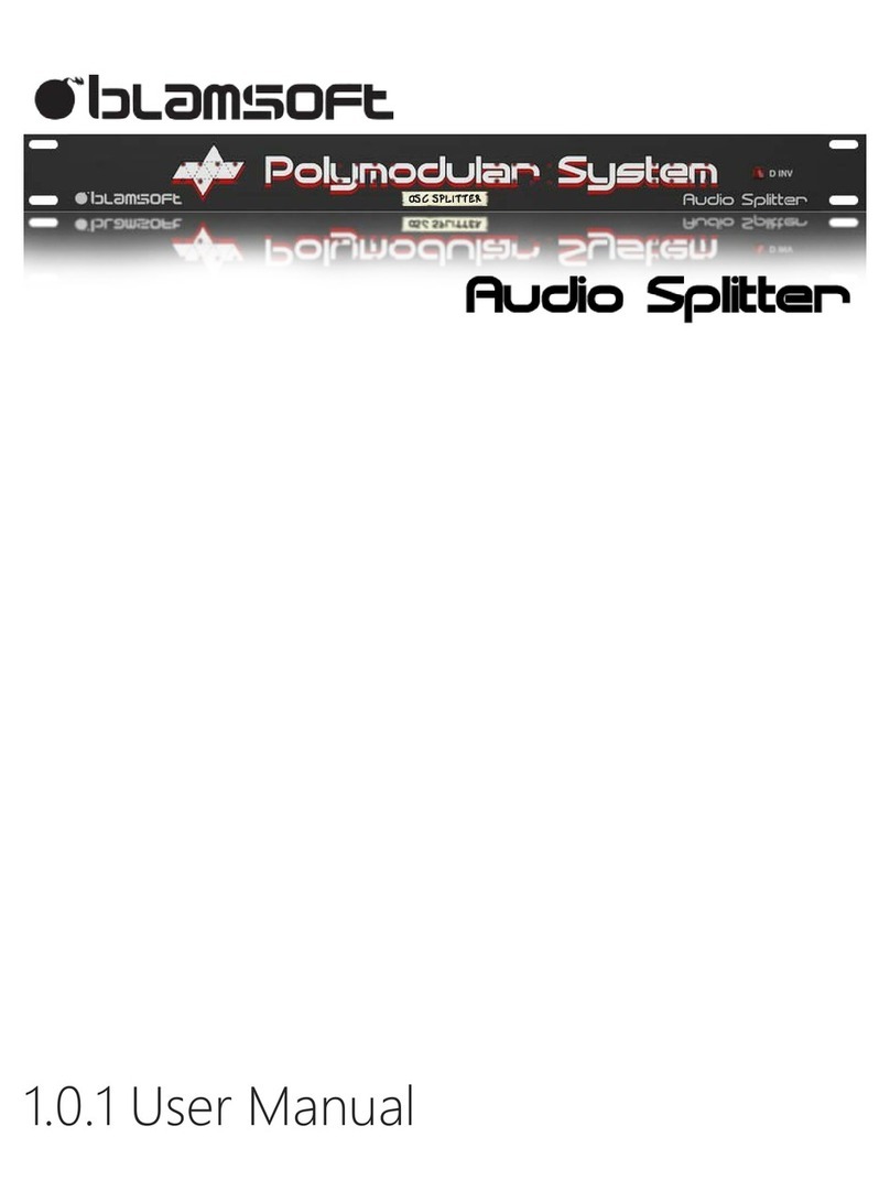 Blamsoft Polymodular System user guide