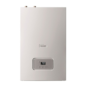 Glowworm SUSTAIN 12r -A User manual