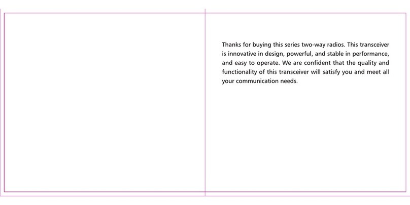 TDXone Q8 user manual