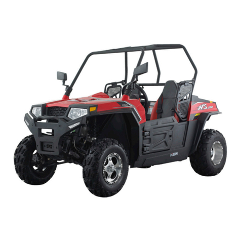 Hisun Strike 250 owner's manual