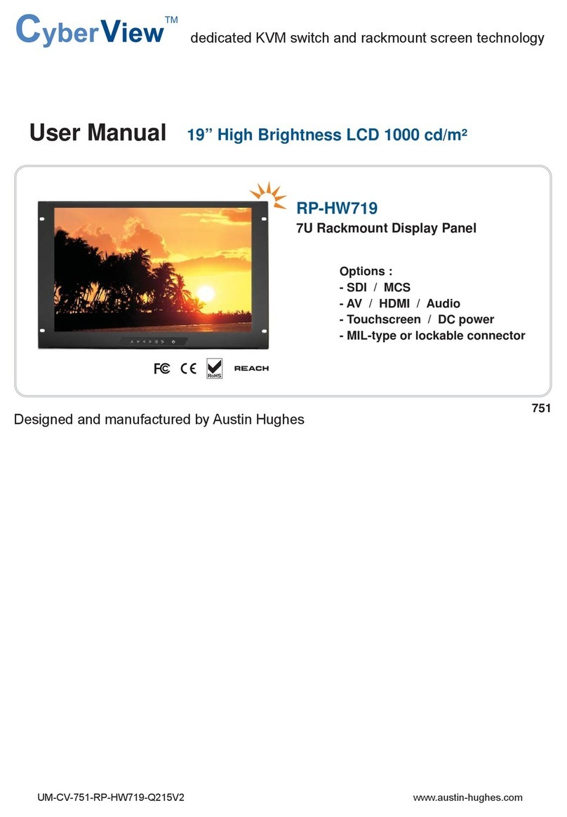 CyberView RP-HW719 User manual