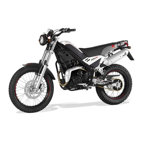 RIEJU TANGO 250 owner's manual