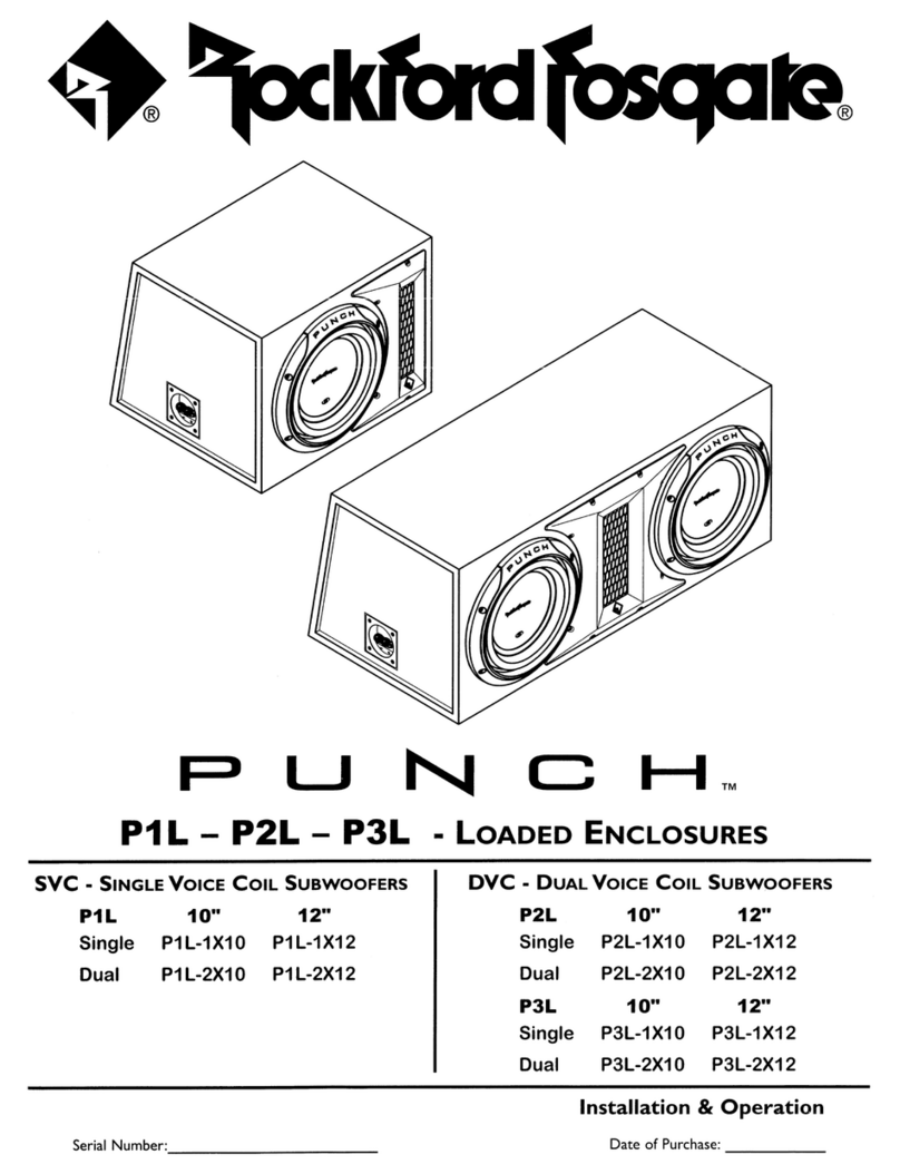 Rockford Fosgate P1L-1X10 Guide
