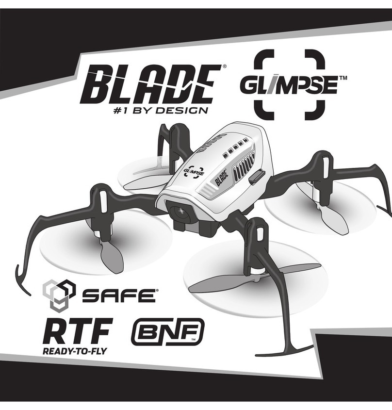 Blade Glimpse BLH2200 User manual