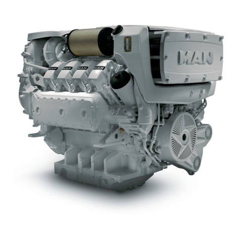 Man D2868 LE433 User manual