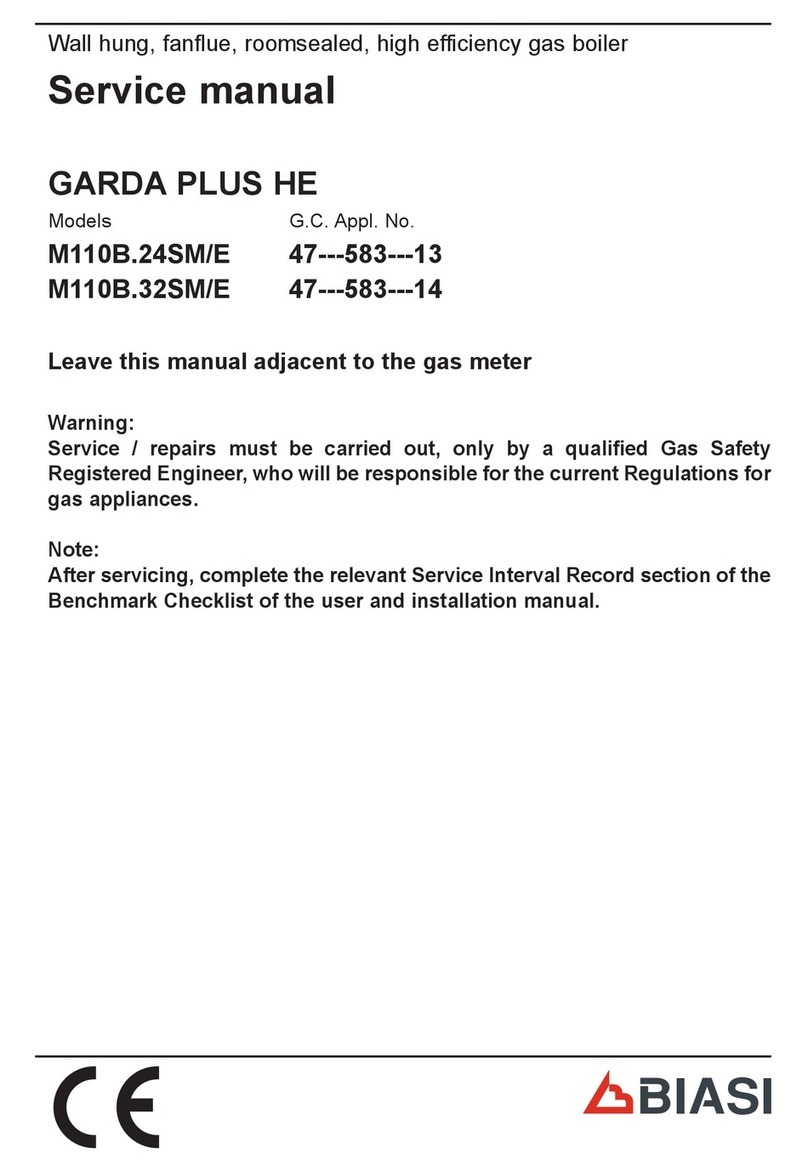 Biasi M110B.24SM/E Service manual
