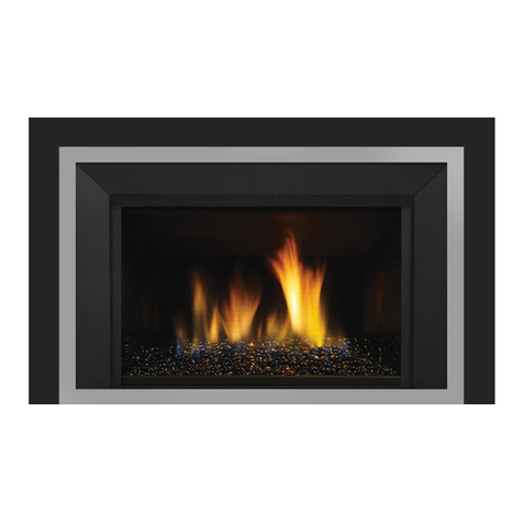 Regency LRI6E-NG Owners & installation manual