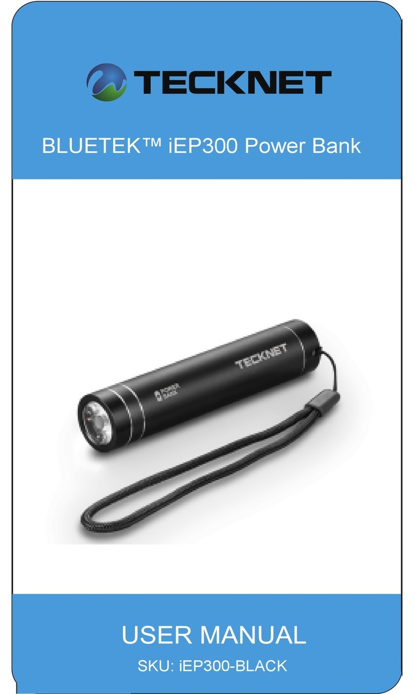 Tecknet BLUETEK iEP300 User manual