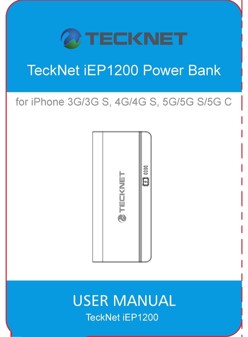Tecknet BLUETEK IEP1200 user manual