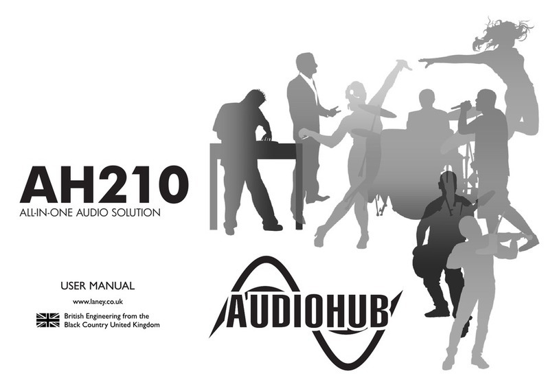 Laney AudioHub AH210 user manual