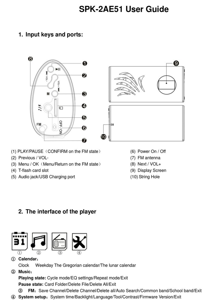 Axion SPK-2AE51 user guide