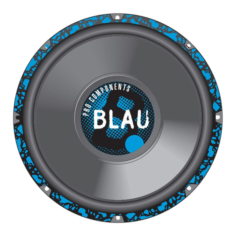 Blaupunkt Blau PCwg100 user guide