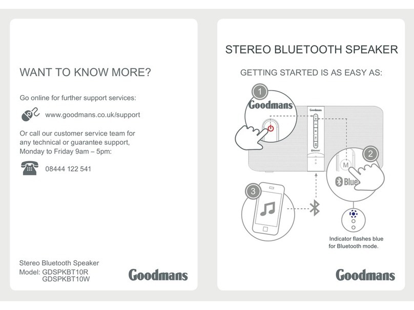Goodmans GDSPKBT10R User manual